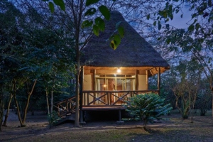 Ishasha Jungle Lodge