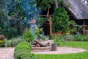 Kibale Forest Camp-RESORT