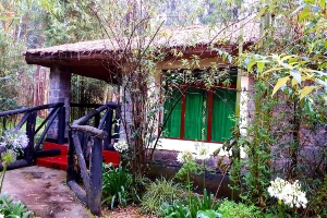 Le Bambou Gorilla Lodge