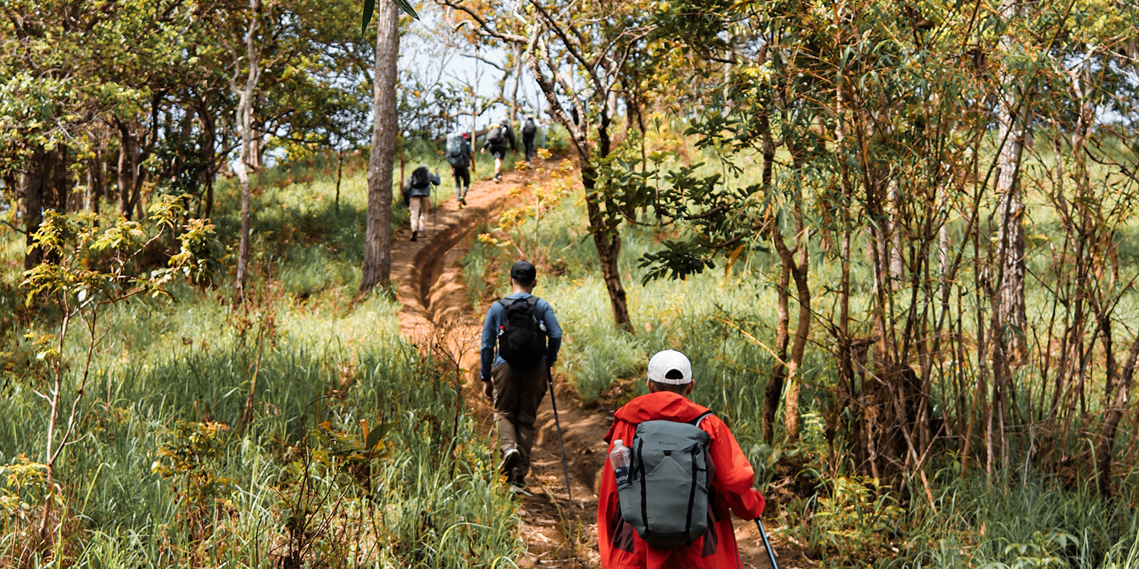 Enchanting Escapade: 2-Day Nyungwe Forest Hiking & Primate Encounter